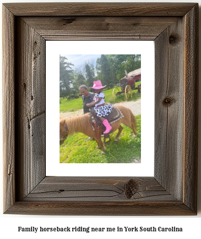 family horseback riding near me in York, South Carolina